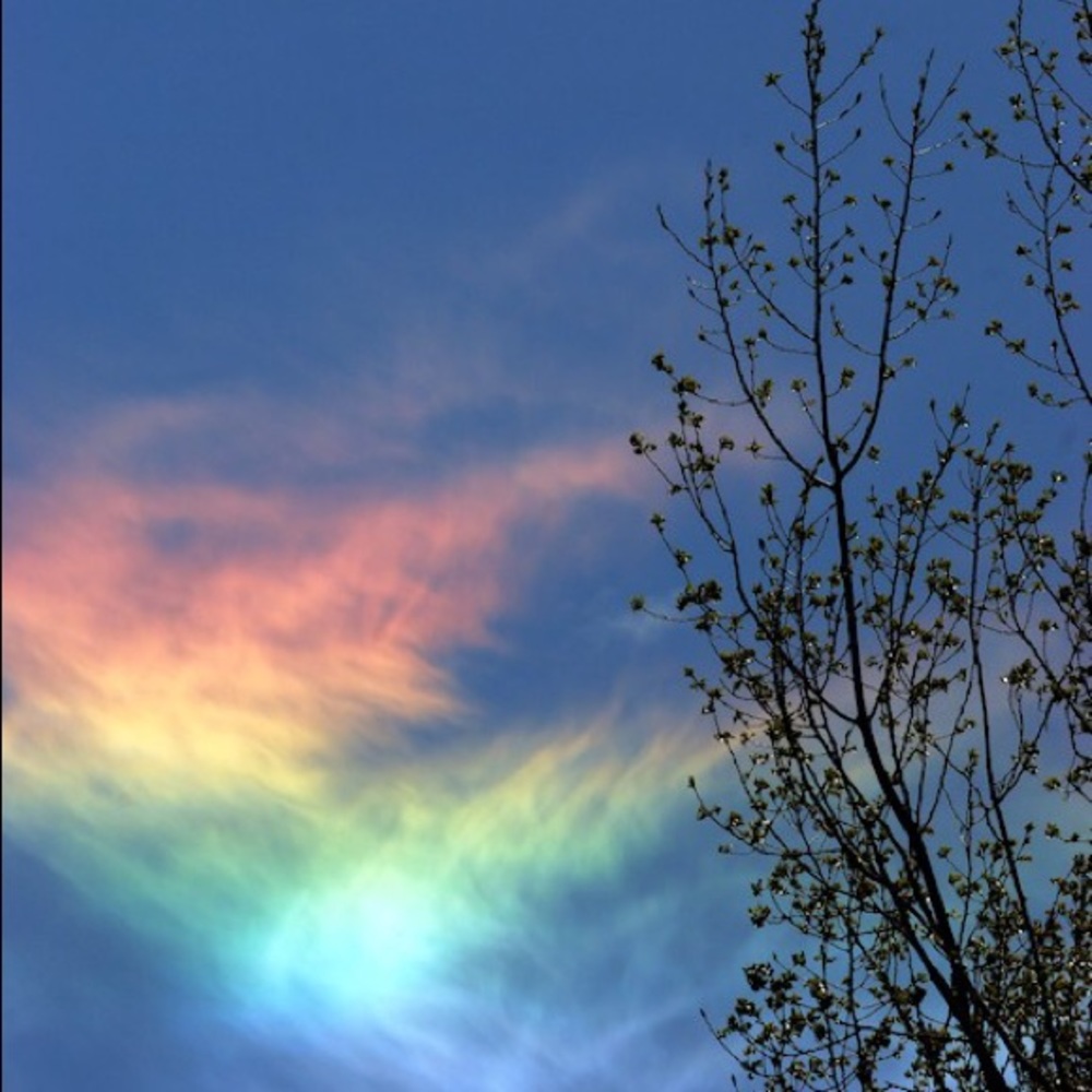 Meet your Posher, Pablo